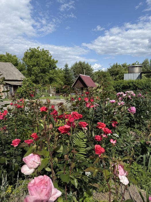 Будинок з просторою територією|с.Іваниничі
