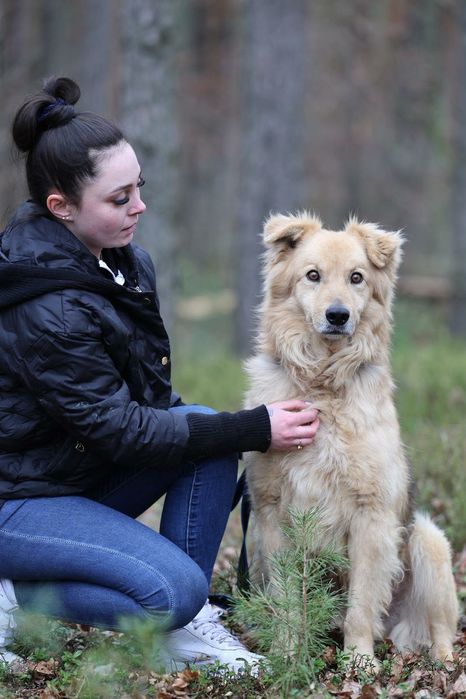 Simba potrzebuje kochającego domu