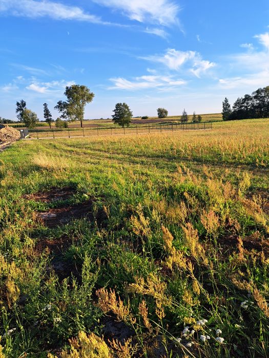 Sprzedam działkę budowlaną 1400m² w Ptaszkowicach