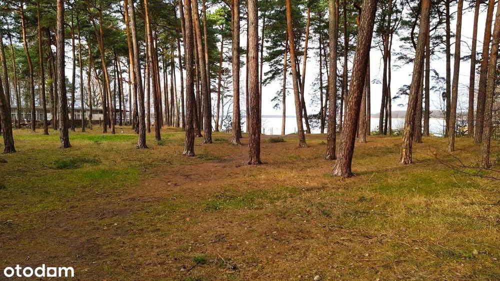Ostatnie działki nad Jeziorem Sławskim - WŁASNOŚĆ - od 214 metrów kw