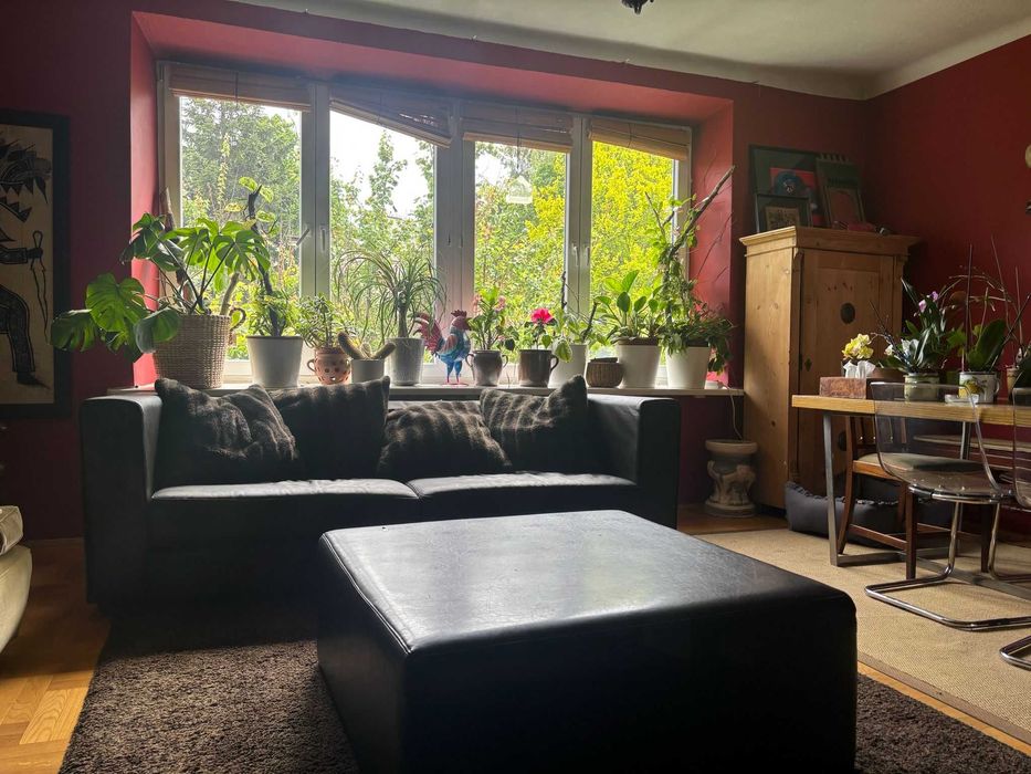 Old Żoliborz | Large Sunny 1-Bedroom Apartment | 4700 PLN + Bills | Stary Żoliborz | Duże słoneczne mieszkanie 2-pokojowe | 4700 zł + opłaty | - Widok 2
