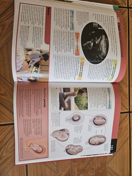 Encyklopedia dla ciekawskich