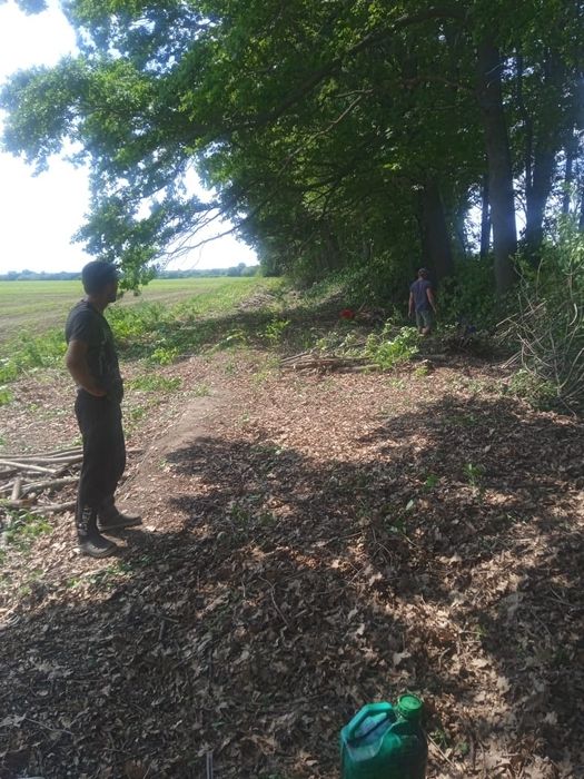 Зачистка ділянок та зріз аварійних дерев