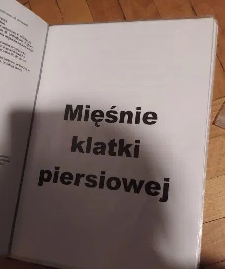 Notatki o Mięśniach (Książka do masażu)