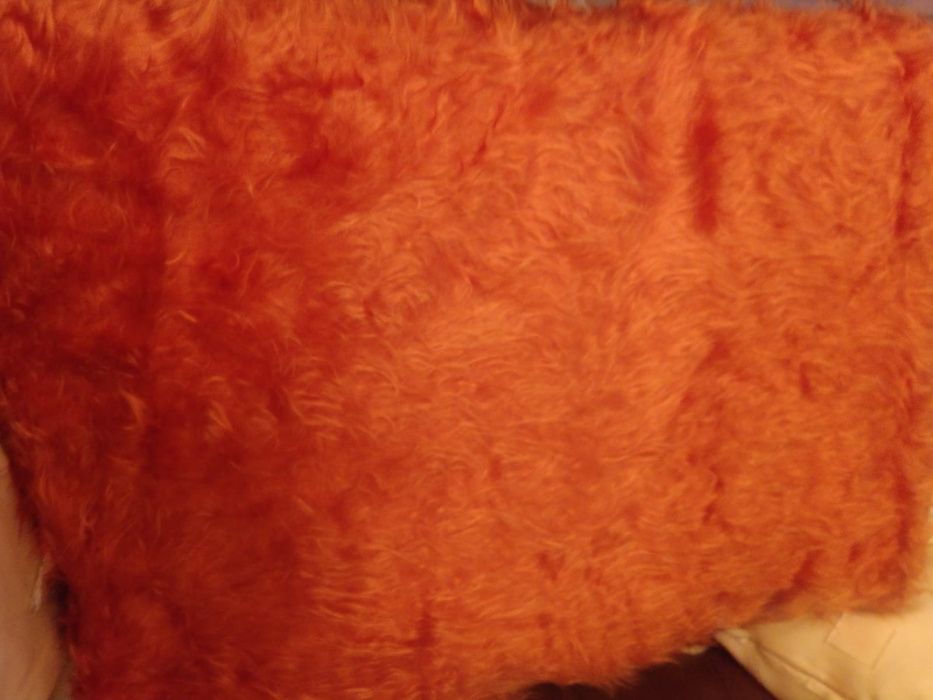 *Nowy* , czeski kupon misia