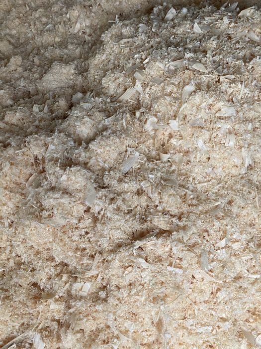 Trociny/wióry/ścinki drewna spod heblarki/frezarki