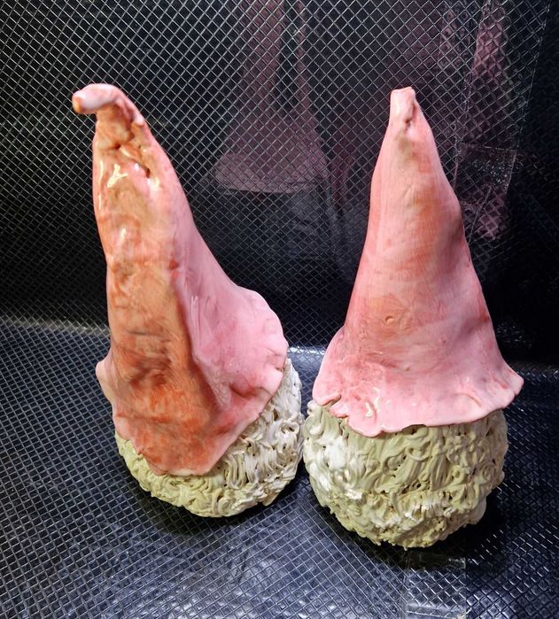 Dwie figurki - Skrzaty