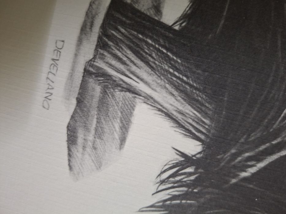 Grande desenho assinado pintura