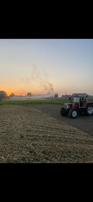 Uslugi .Transport kukurydzy na kiszonke.