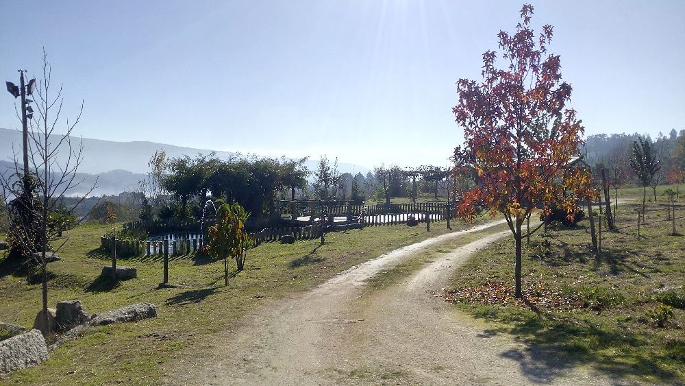 Terreno com 7300 mt Louredo Amarante