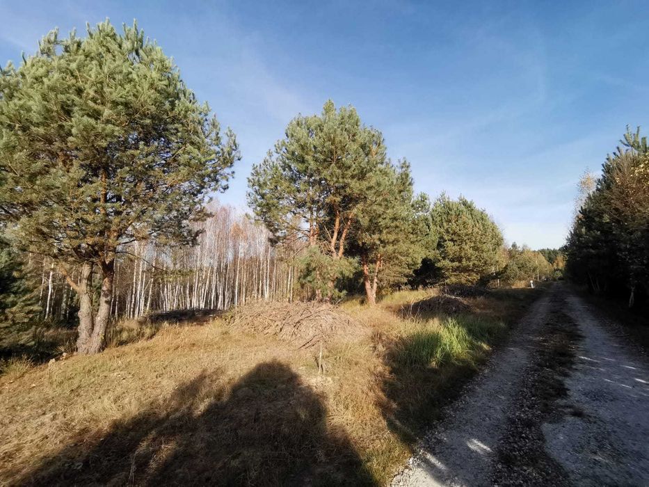 Pięknie położona działka budowlana w Ciekotach