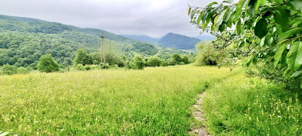 Продам земельну ділянку в живописних Карпатах Закарпаття с Волосянка