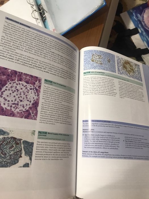 Wheater’s functional Histology