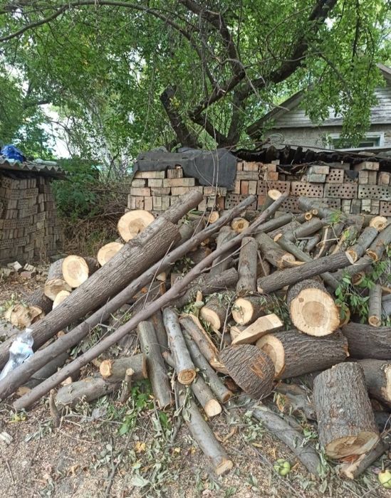 Зрізання дерев, покос трави, розчищення, вирівнювання