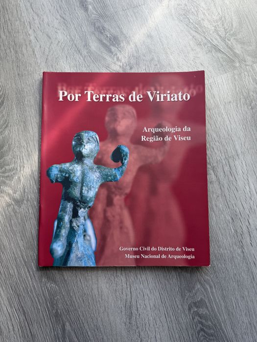 Por Terras De Viriato - Arqueologia da Região de Viseu