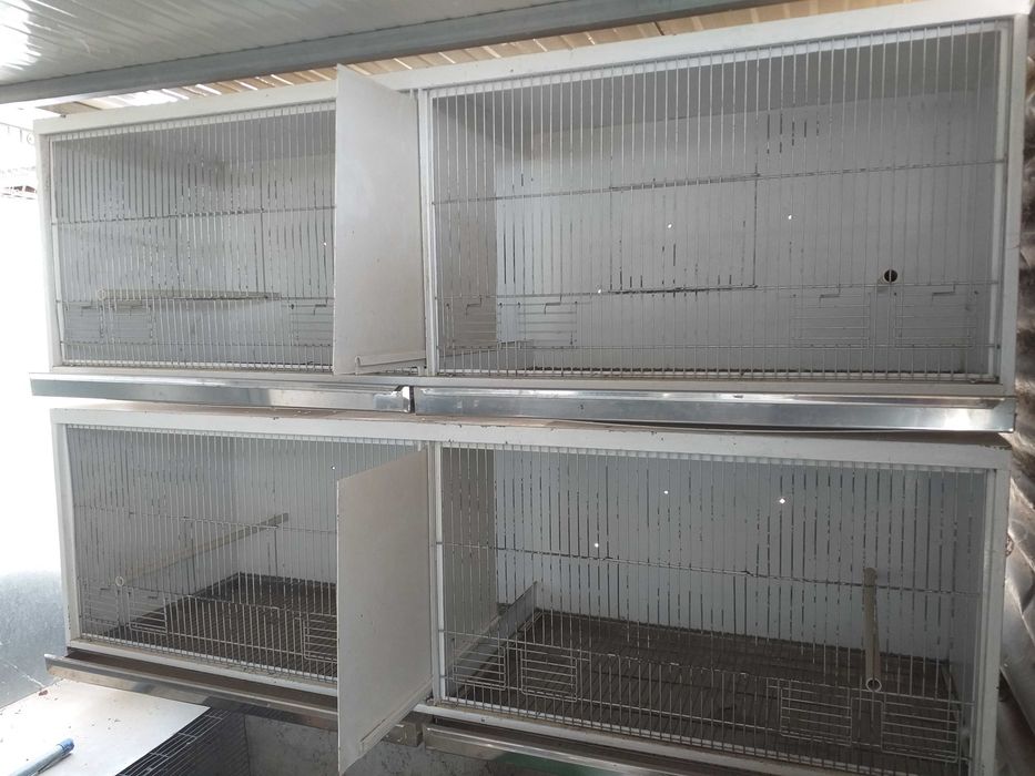 Viveiros para aves