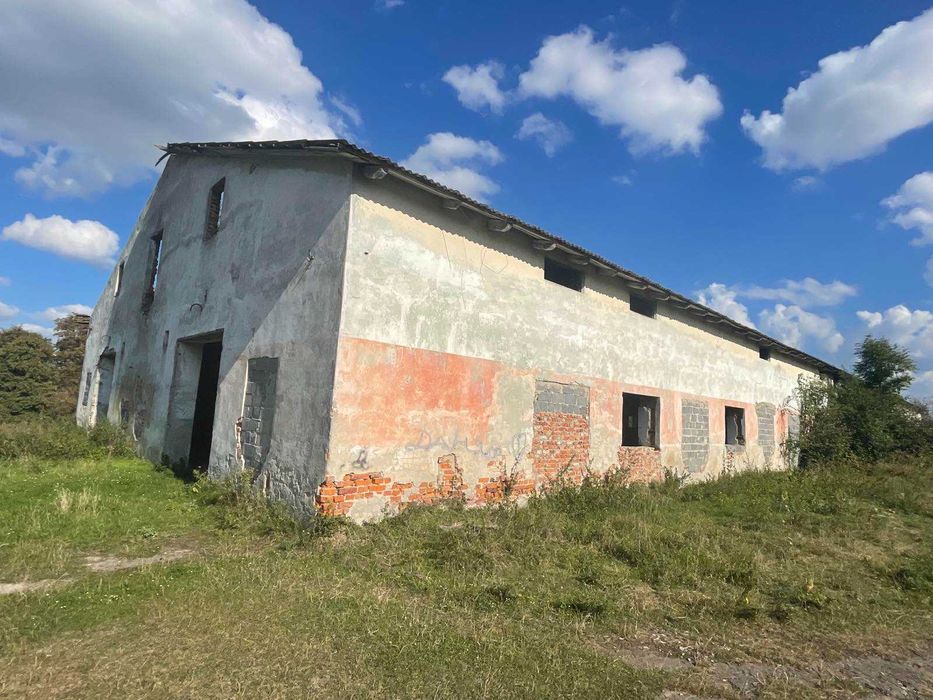 господарський двір (ферма) 3 гектара, 1700 м2 площа 2 будівель, продаж