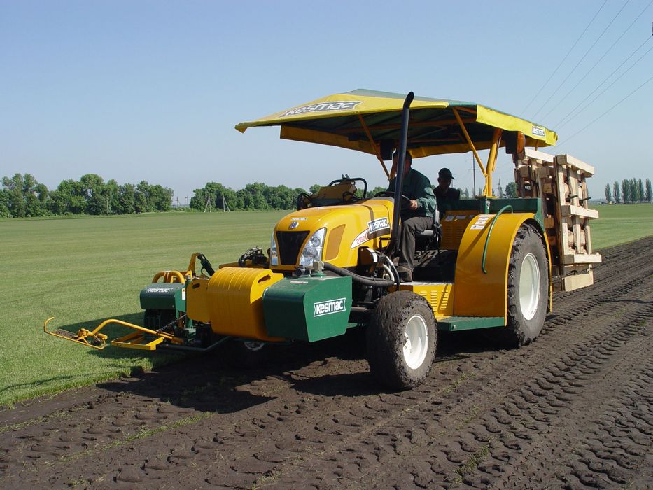 Газонна трава Універсальна