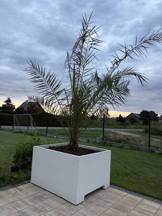 Donica ogrodowa
