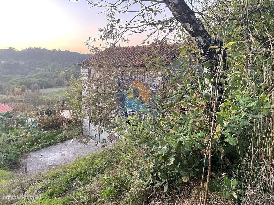 Venda Terreno
