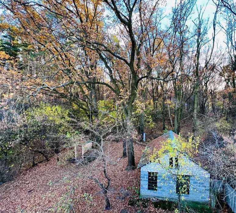 Продаж цегляного будинку 200 м² Погреби Обухівський ліс річка 11 соток