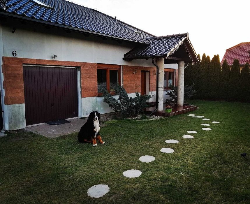 Pieńki drewnopodobne z betonu