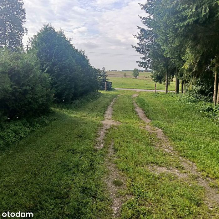 Gospodarstwo blisko lasu | 3,36 ha | Dom 125 m²
