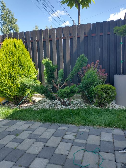 Професійні послуги садівника.