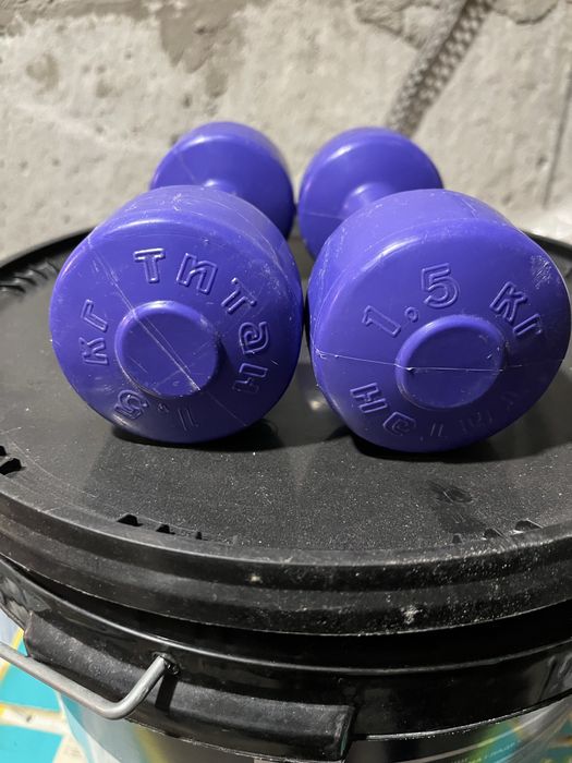 Гантелі 1,5 кг кожна