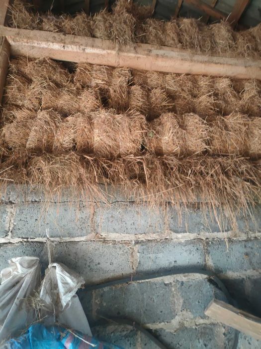 Sprzedam siano (kostki)