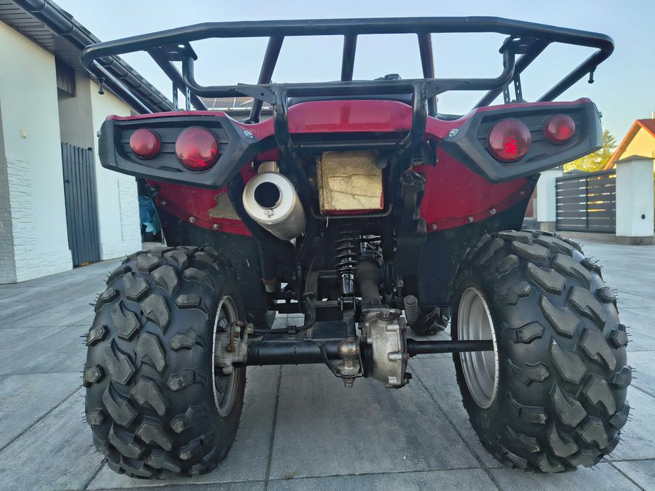 Kawaski KVF 300 Brute Force