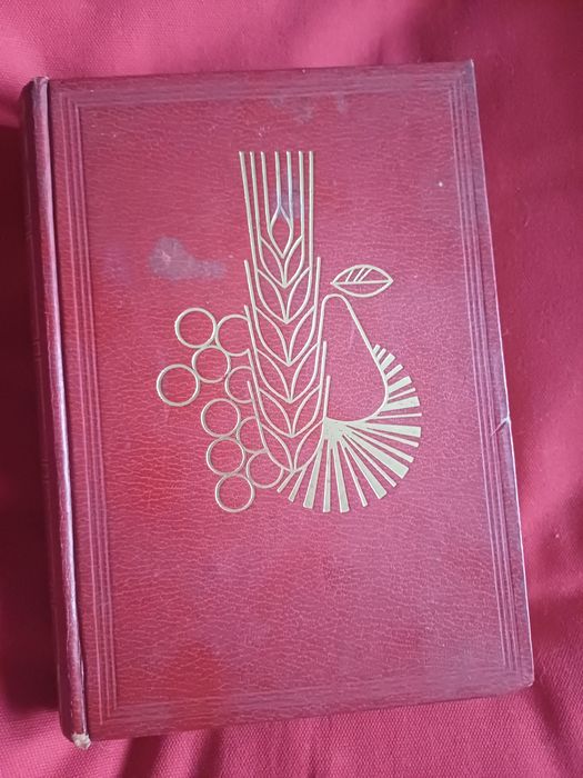 A Saúde  pelos Alimentos