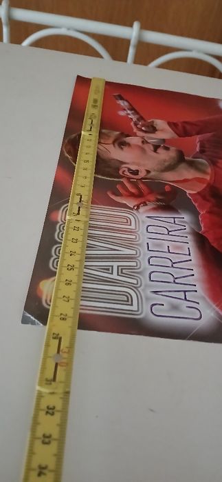 Poster David Carreira/The Vamps