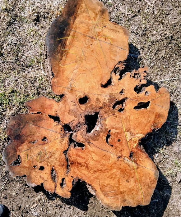 Stół z drewna oliwnego