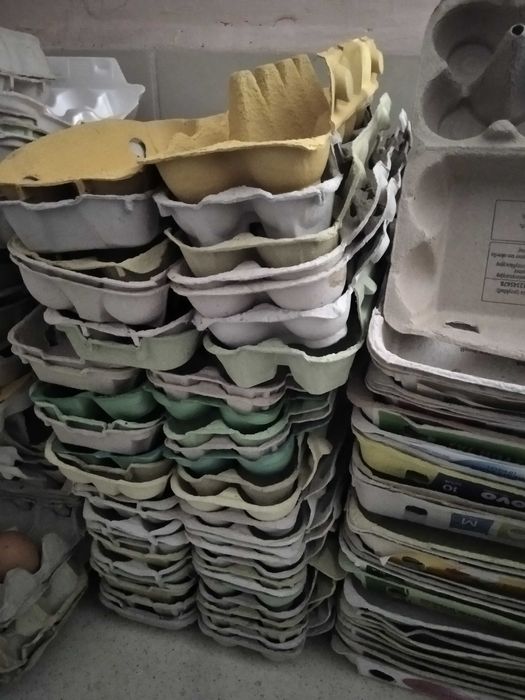 Wytlaczanki po jajkach