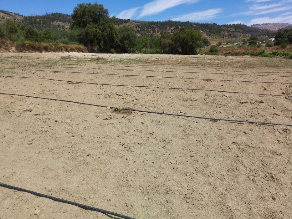 Terreno de 1,3 Ha com Ribeiro e Viabilidade de Construção