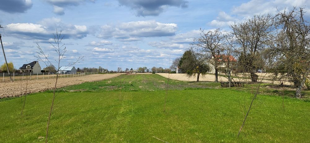 Działka Skowieszyn