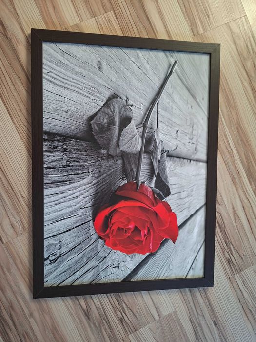 Obraz na ścianę z różą