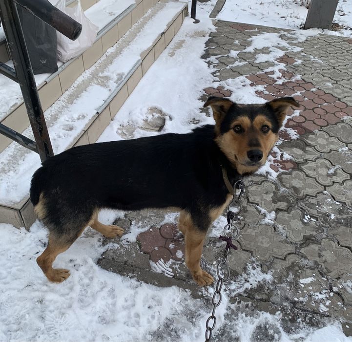 Девочка, Сима