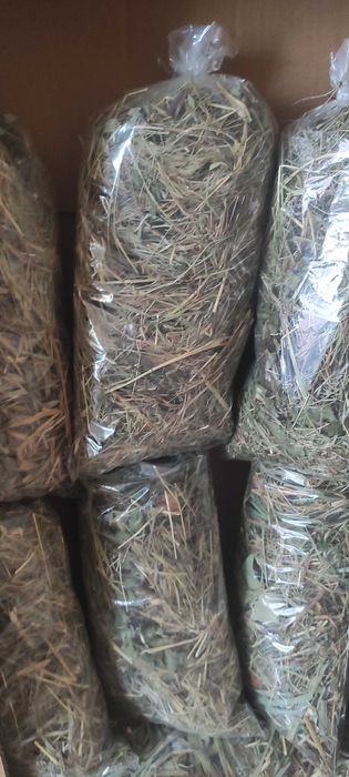 Sianka Małopolskie zestaw próbny 6 szt