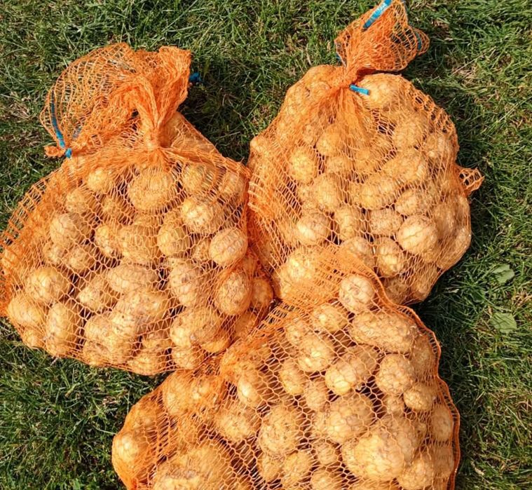 Ziemniaki od rolnika