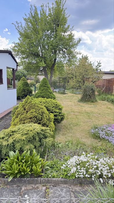 Prawa do dzialki ROD 400 m2 Koninko