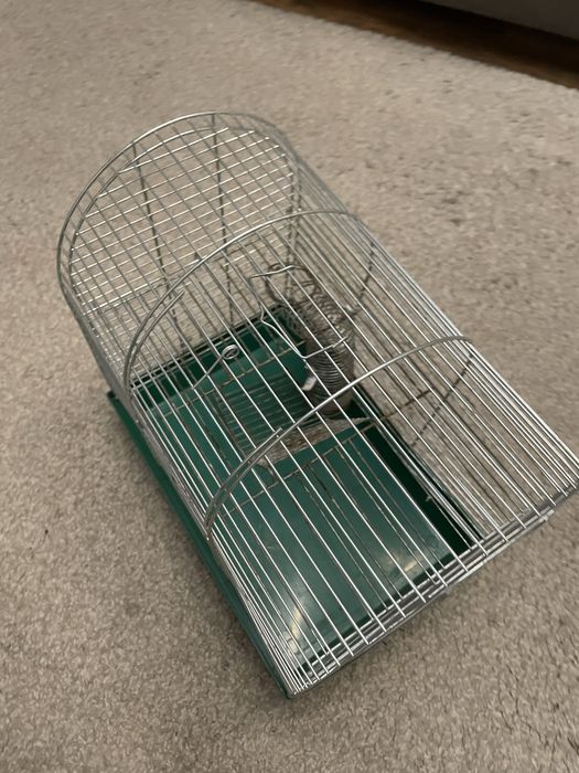 Клітка для гризунів