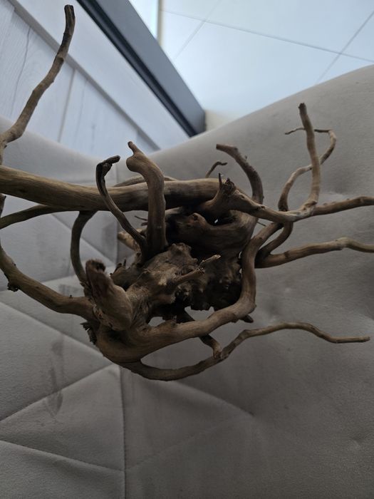 Duży korzeń do akwarium lub terrarium