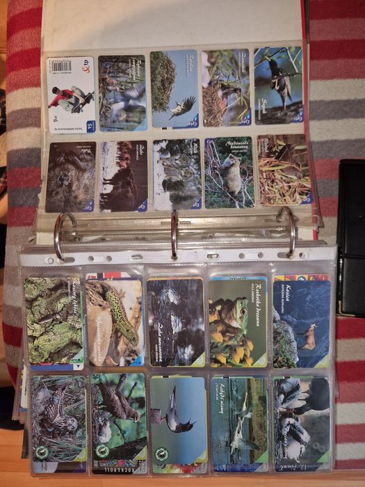 Karty telefoniczne 600 szt + albumy