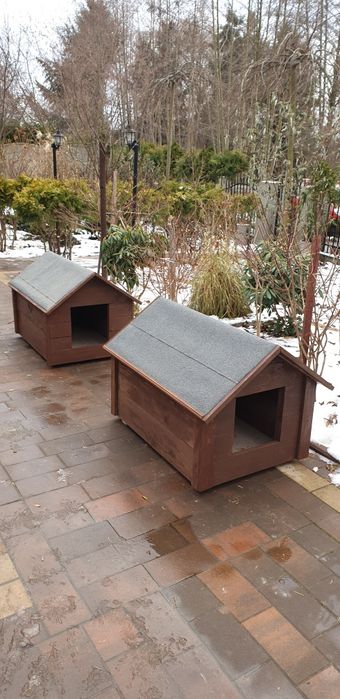 Buda dla psa polecam/Promocja!