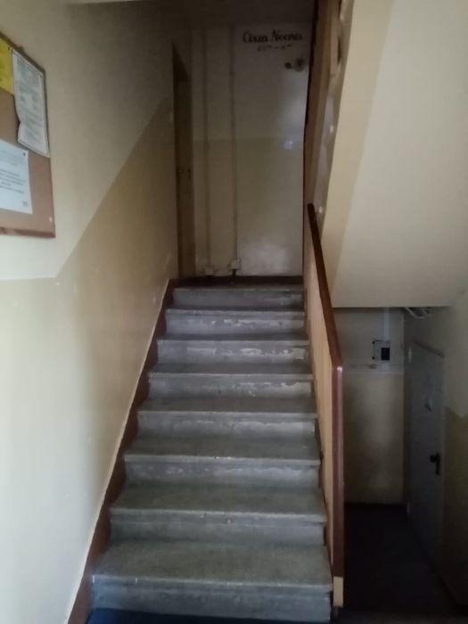Zdjęcie 8