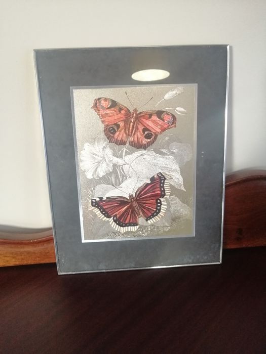 Quadros antigos e borboletas