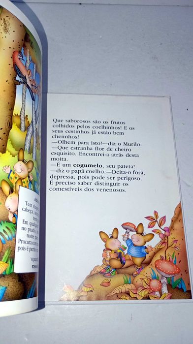 Os Coelhinhos... Descobrem a Floresta428873083603527686