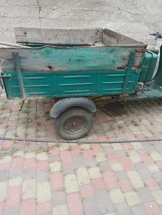 Продам муравей !